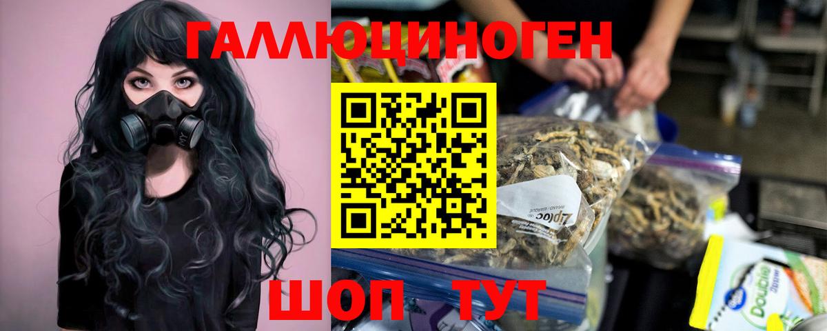 Псилоцибиновые грибы Magic Shrooms  Вход с VPN  Сертолово  Галлюциногенные грибы Cubensis 